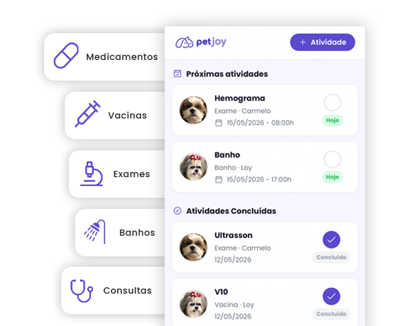 Cuidados com o pet
