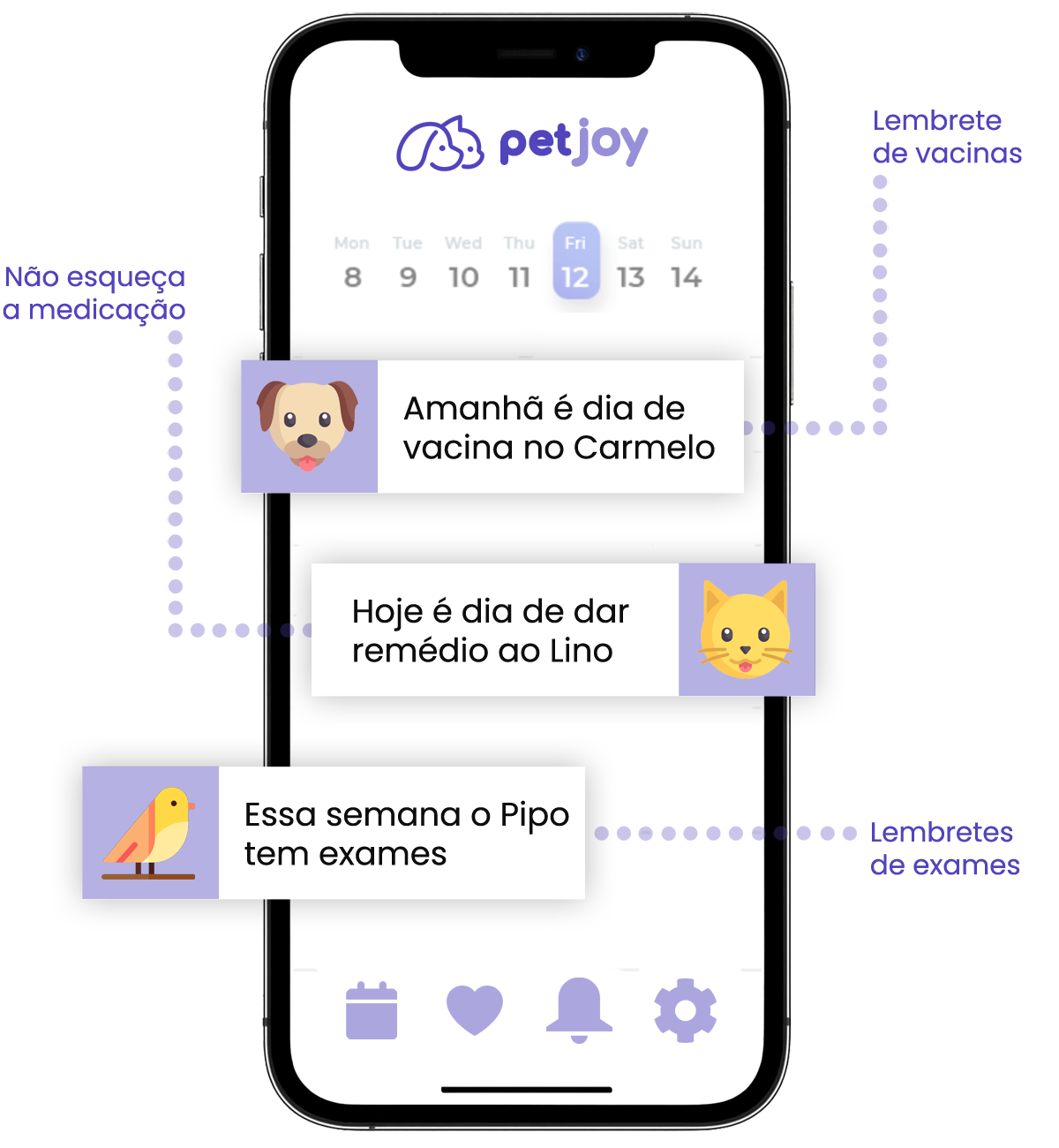 PetJoy App Mockup